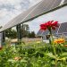 How Community Solar Can Benefit Low- and Moderate-Income Customers